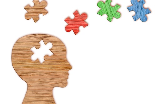 Hc Mental Health Head Puzzle