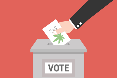 Mj Ballot Web Feature