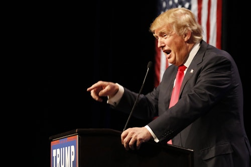 Trump Web Feature