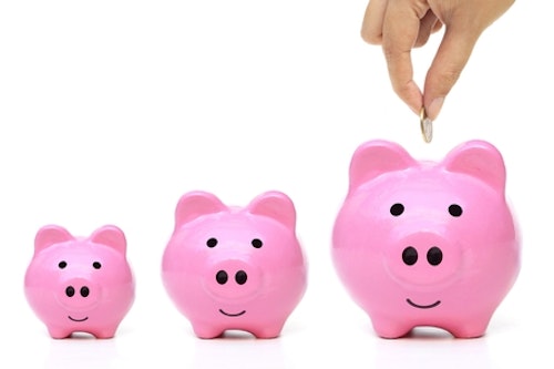 Shutterstock 365746883